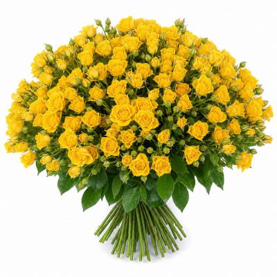 Розы Кустовые желтые